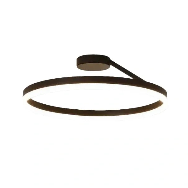 Modern Circular Flush Mount Ceiling Light